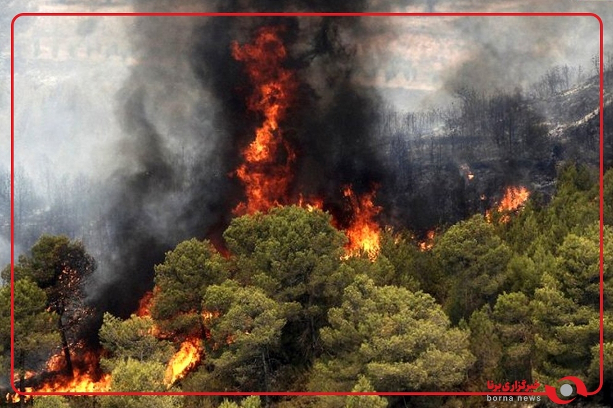 آتش سوزی گسترده در جنگل گلستان در محدوده خراسان شمالی
