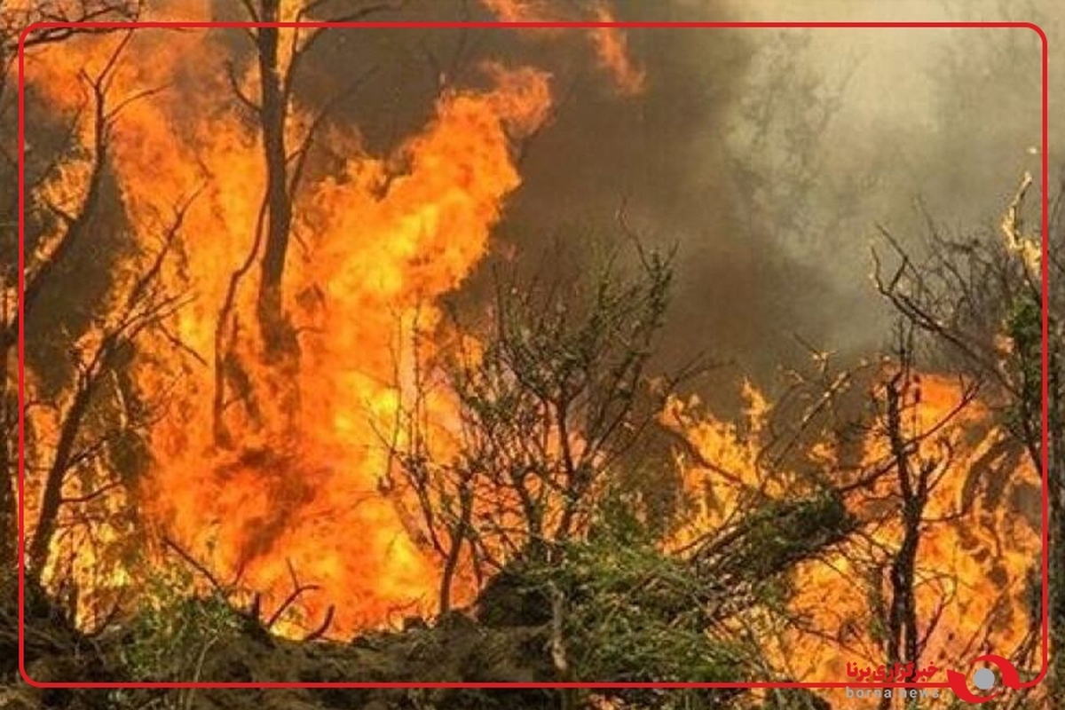 تصاویری از آتش‌سوزی در پارک ملی گلستان