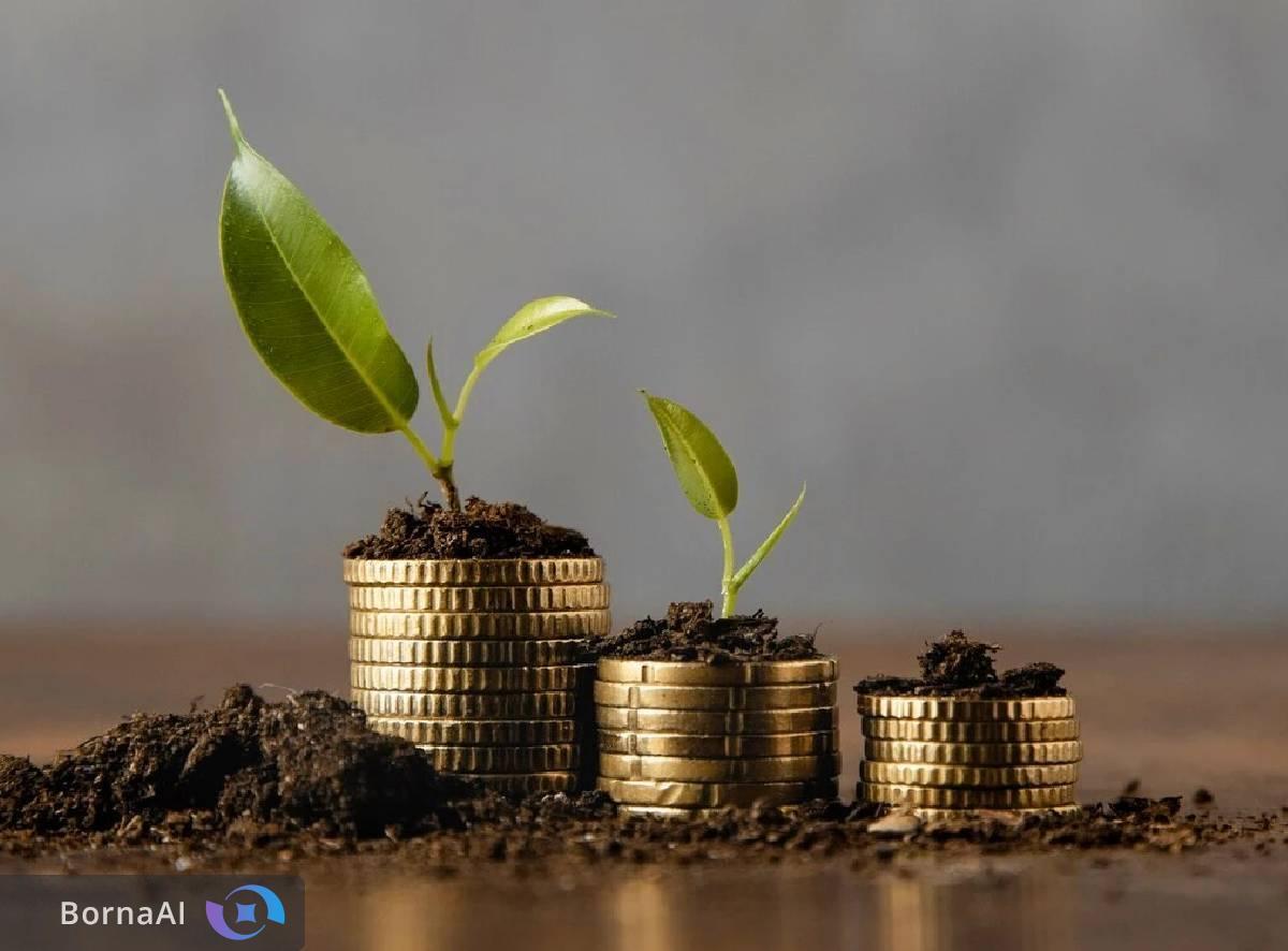 چگونه صورت‌های مالی استارتاپ‌ها را تحلیل کنیم؟