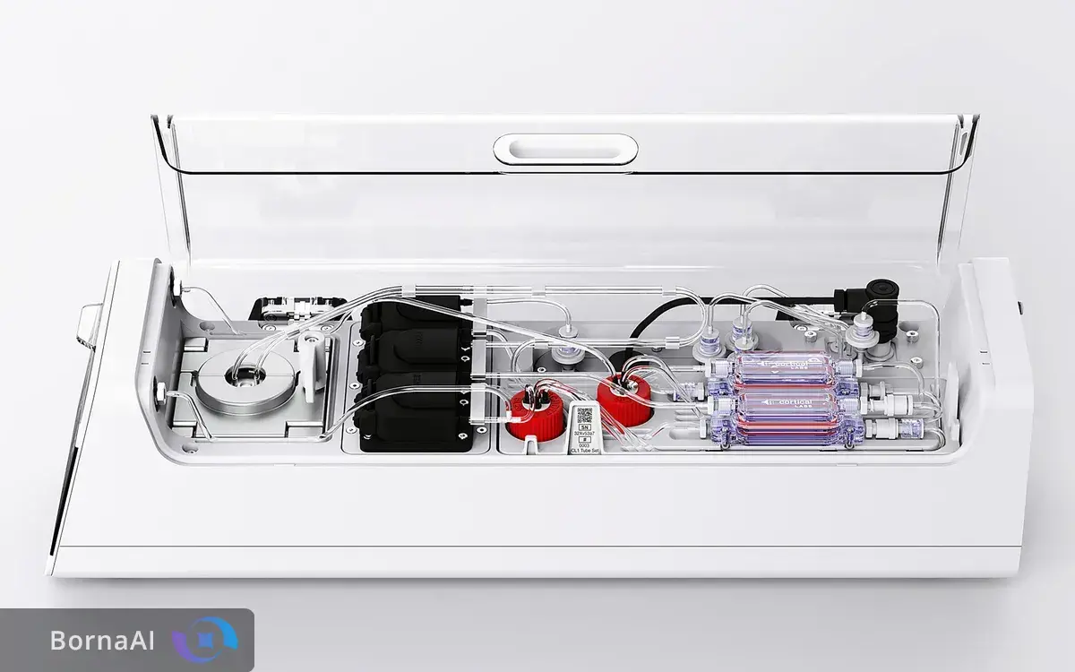 ترکیب مغز انسان و تراشه سیلیکونی/ رایانه زیستی متولد شد!