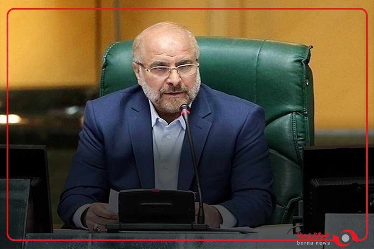 قانونگذاری فقط شأن مجلس است