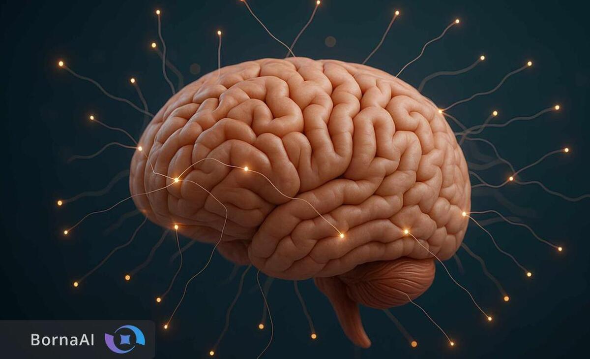 قندها به حافظه برگشتند!