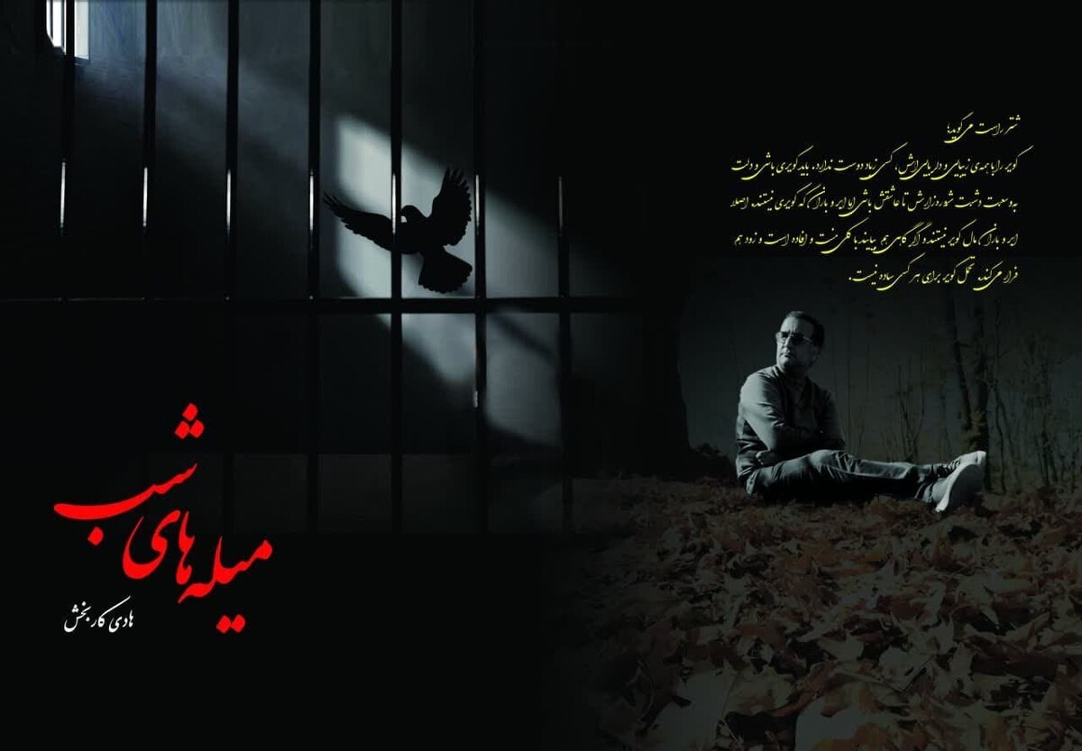 هادی کاربخش نویسنده و روزنامه‌نگار کرمانی: «میله‌های شب» برداشتی آزاد از آزادی‌ست