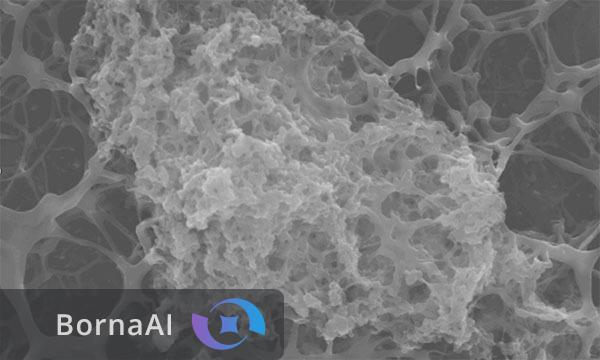 پایان عفونتهای مقاوم به دارو با پوششهای ضدباکتری پایان عفونتهای مقاوم به دارو با پوششهای ضدباکتری