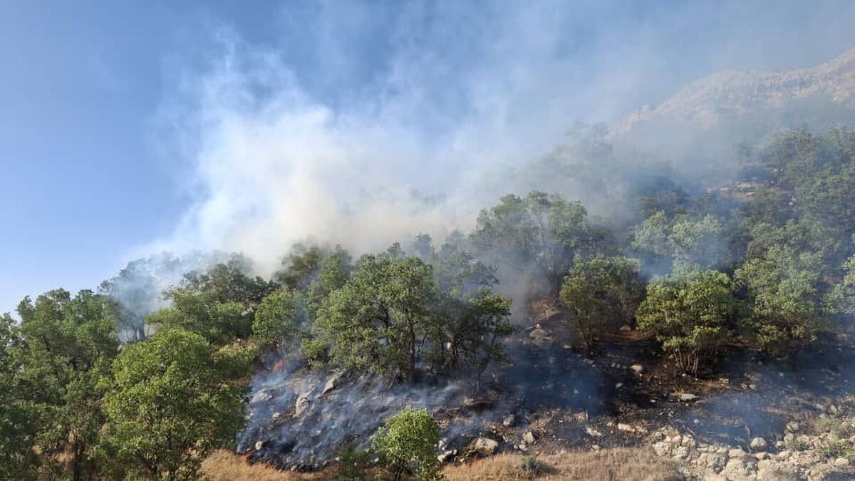آتش سوزی منطقه جنگلی «جوزانه ون» ایلام مهار شد