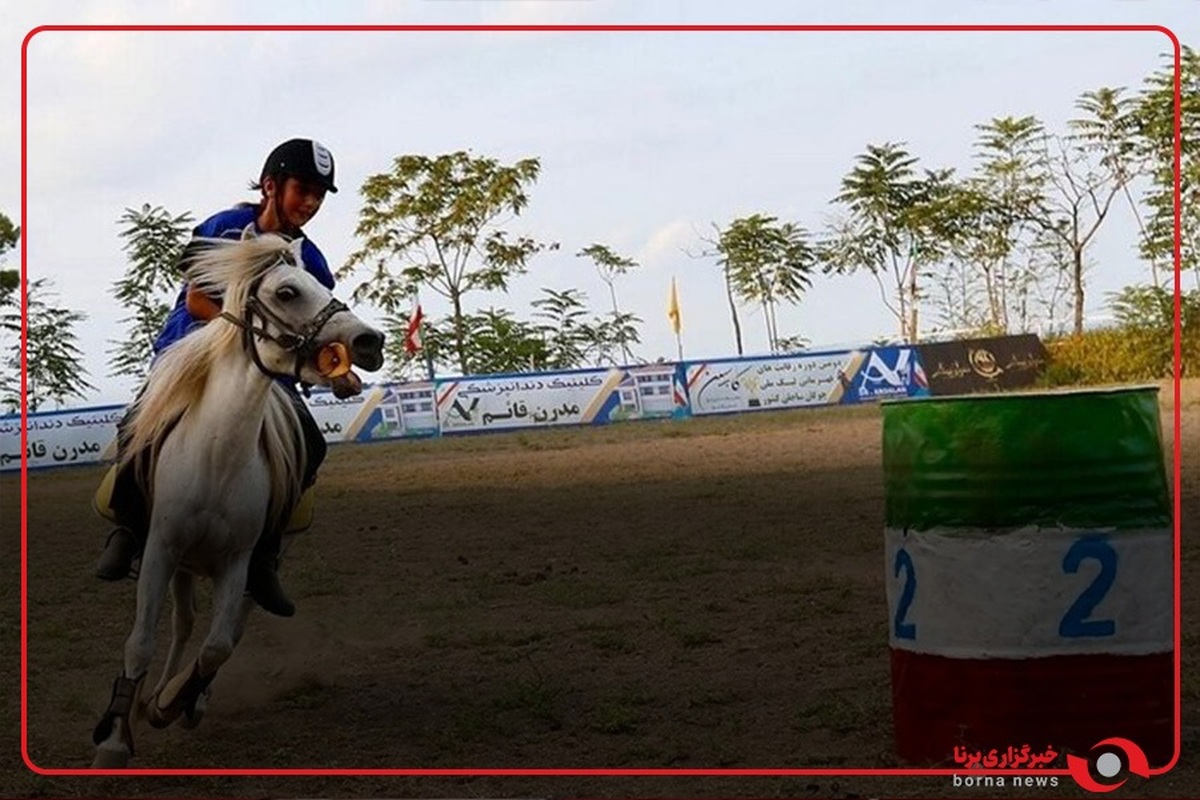 در حمله موشکی صبح یکشنبه اسرائیل به مرکز پرورش اسب‌های مسابقه‌ای در دهکده المپیک کرمانشاه، حدود ۵۰ رأس اسب کشته شدند