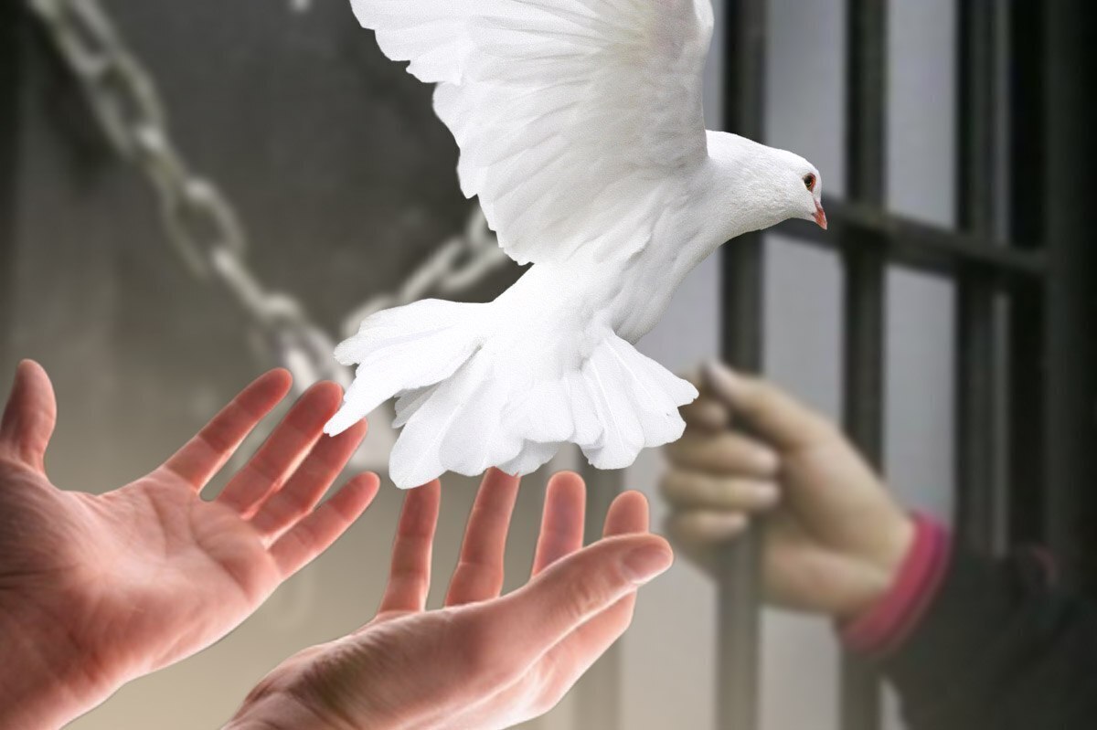 عروس و داماد کرجی، زندگی مشترک خود را با مشارکت در آزادی زندانی غیرعمد آغاز کردند