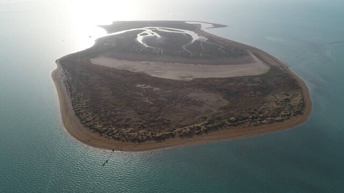 دو منطقه در خوزستان به مناطق تحت مدیریت سازمان محیط زیست افزوده شد