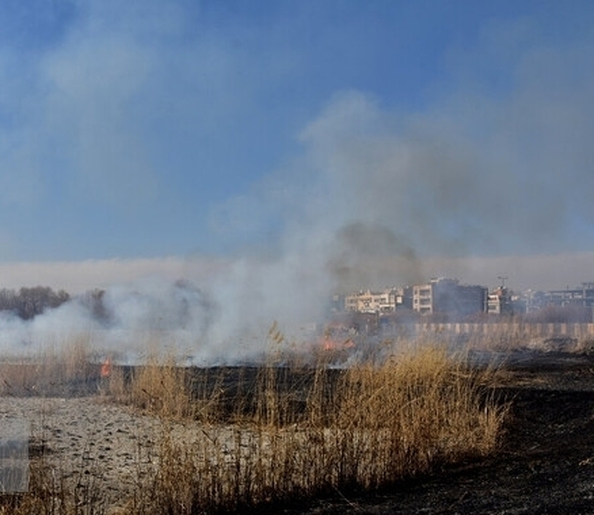 آتش زدن بقایای محصولات ممنوع است