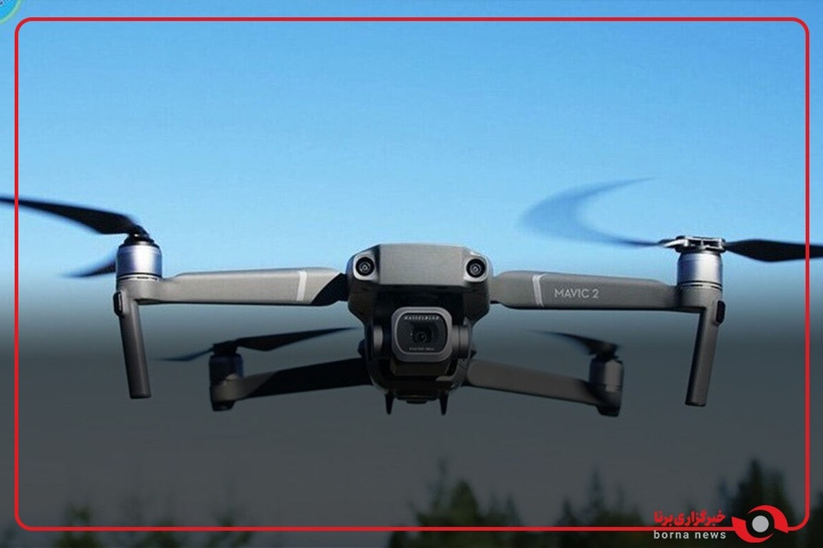 کشف ریزپرنده‌ها در استان تهران