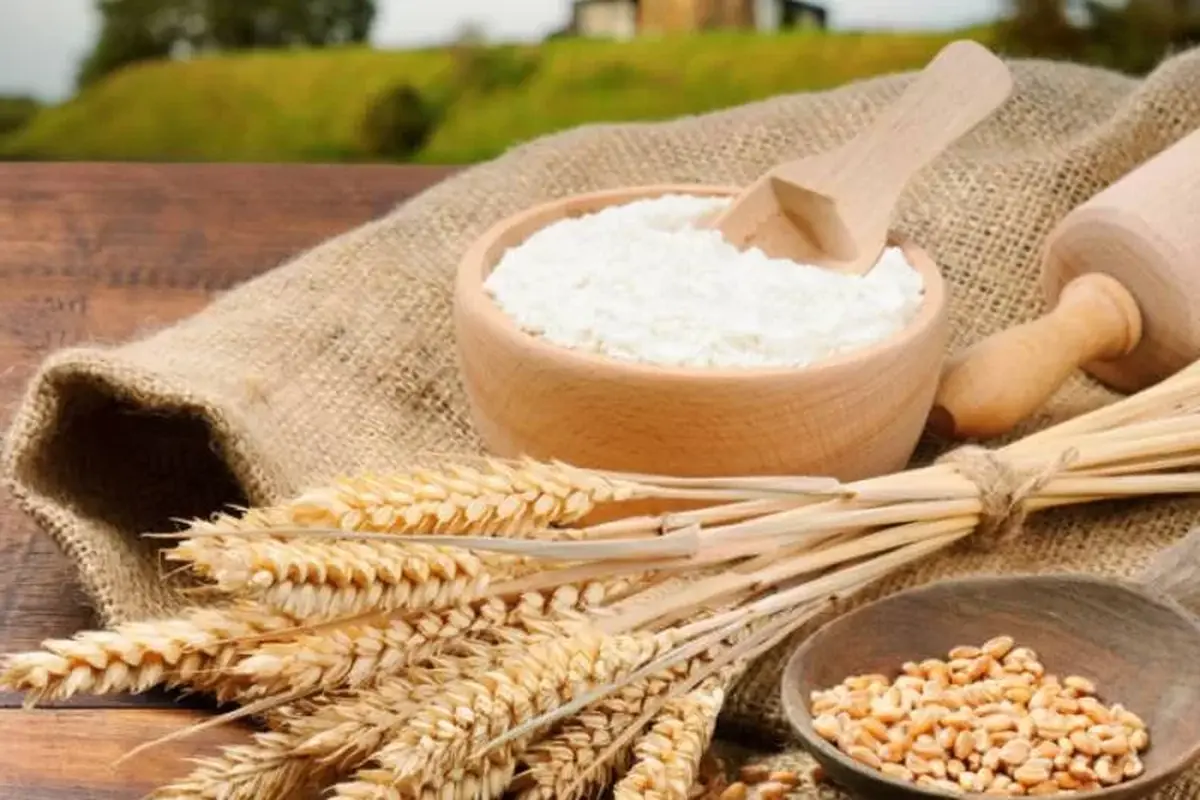 سهمیه آرد و کالاهای اساسی استان‌های مهمانپذیر شارژ شد