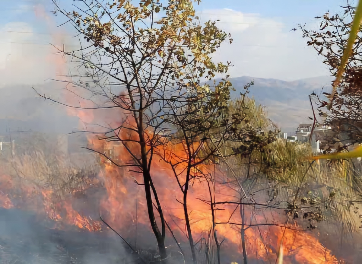 مهار آتش‌سوزی مراتع و جنگل‌های 