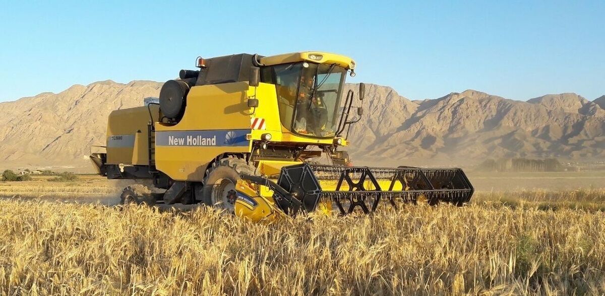 برداشت مکانیزه ۳.۷ میلیون تن غلات و کلزا/ عملیات برداشت بی‌وقفه ادامه دارد