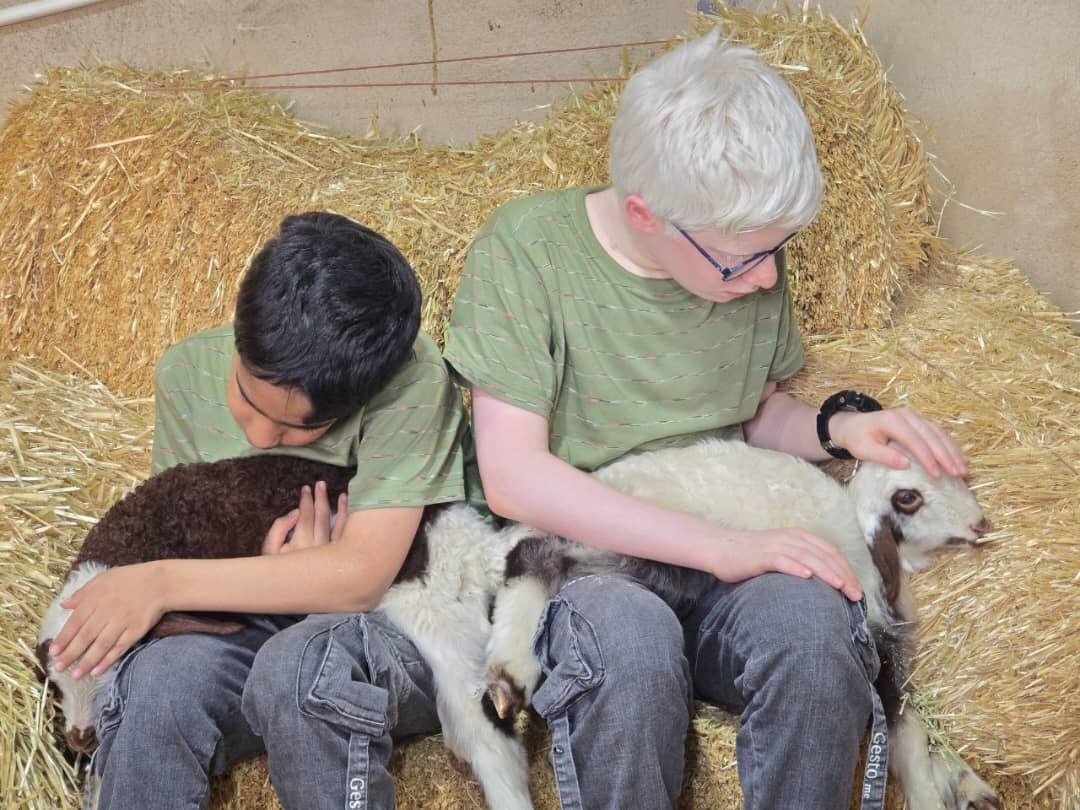 ایجاد فضای تجربه فعالیت های شیرین روستایی و بازارچه محصولات سالم و صنایع دستی با عنوان مزرعه بازی میشا در قم