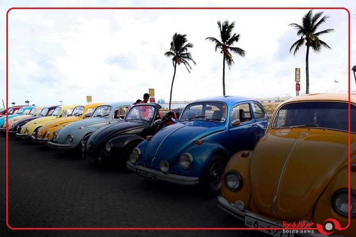 مهمانی خانواده فولکس واگن ها در تبریز