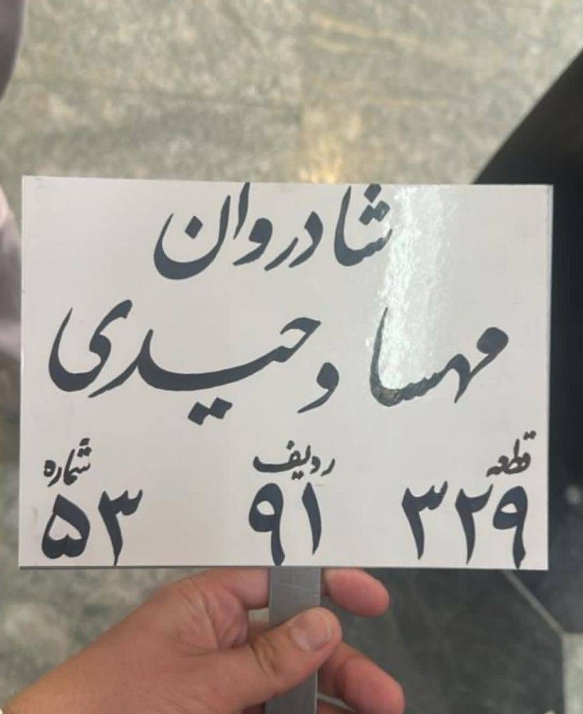 درگذشت مهسا وحیدی بلاگر معروف ایرانی