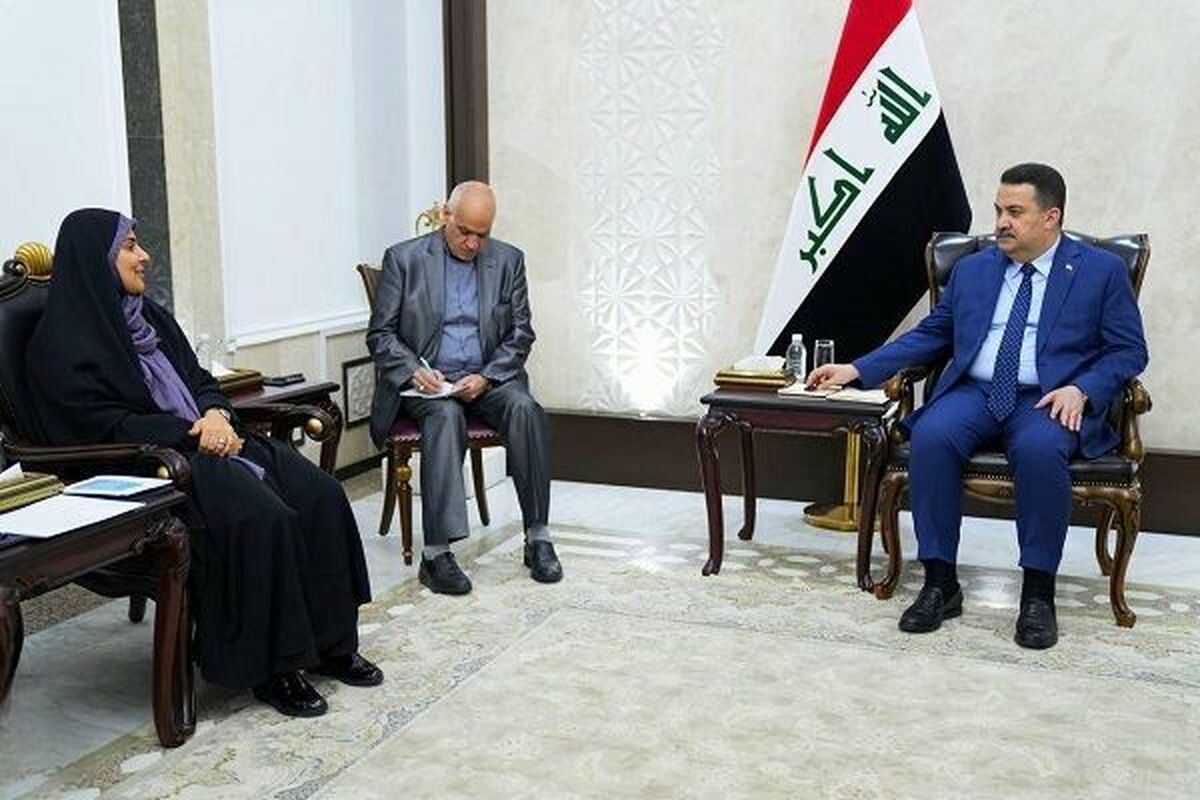 تاکید بر اتمام راه آهن شلمچه - بصره برای جابه‌جایی مسافران در ایام اربعین