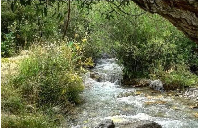 رد پای آثار دوره پهلوی اول در روستای رد پای آثار دوره پهلوی اول در روستای