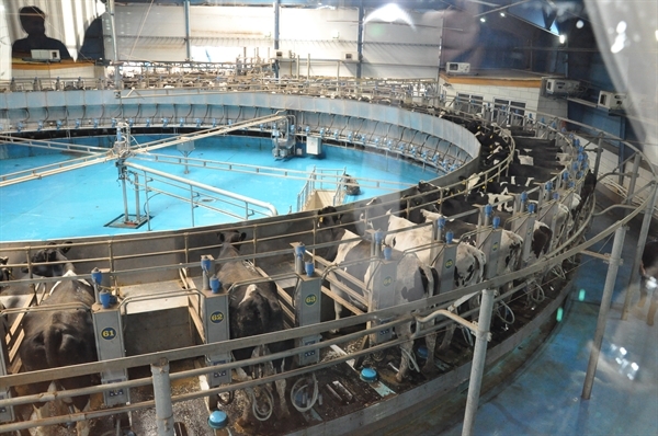 دقیقی: هنرستان دامداری آوین دشت آماده پذیرش دانشجو در ترم جدید است