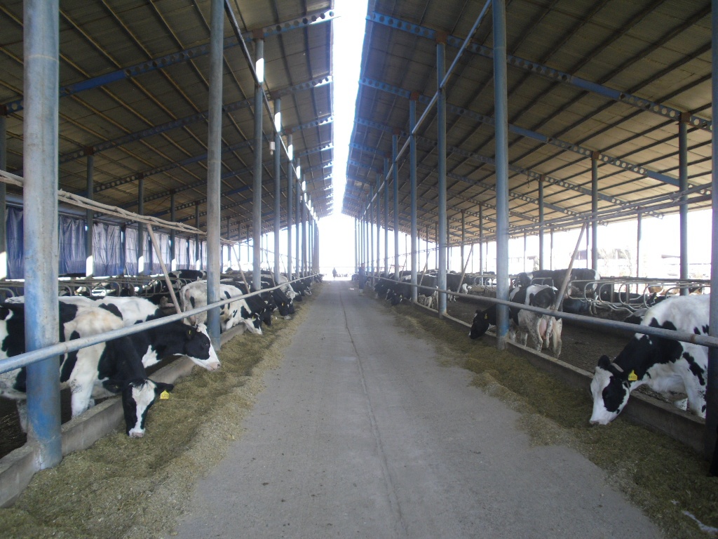 دقیقی: هنرستان دامداری آوین دشت آماده پذیرش دانشجو در ترم جدید است