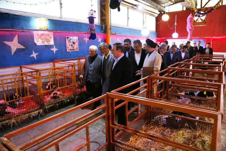 دقیقی: هنرستان دامداری آوین دشت آماده پذیرش دانشجو در ترم جدید است