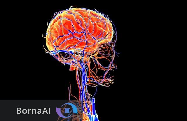 سرعت پیری شما چقدر است؟