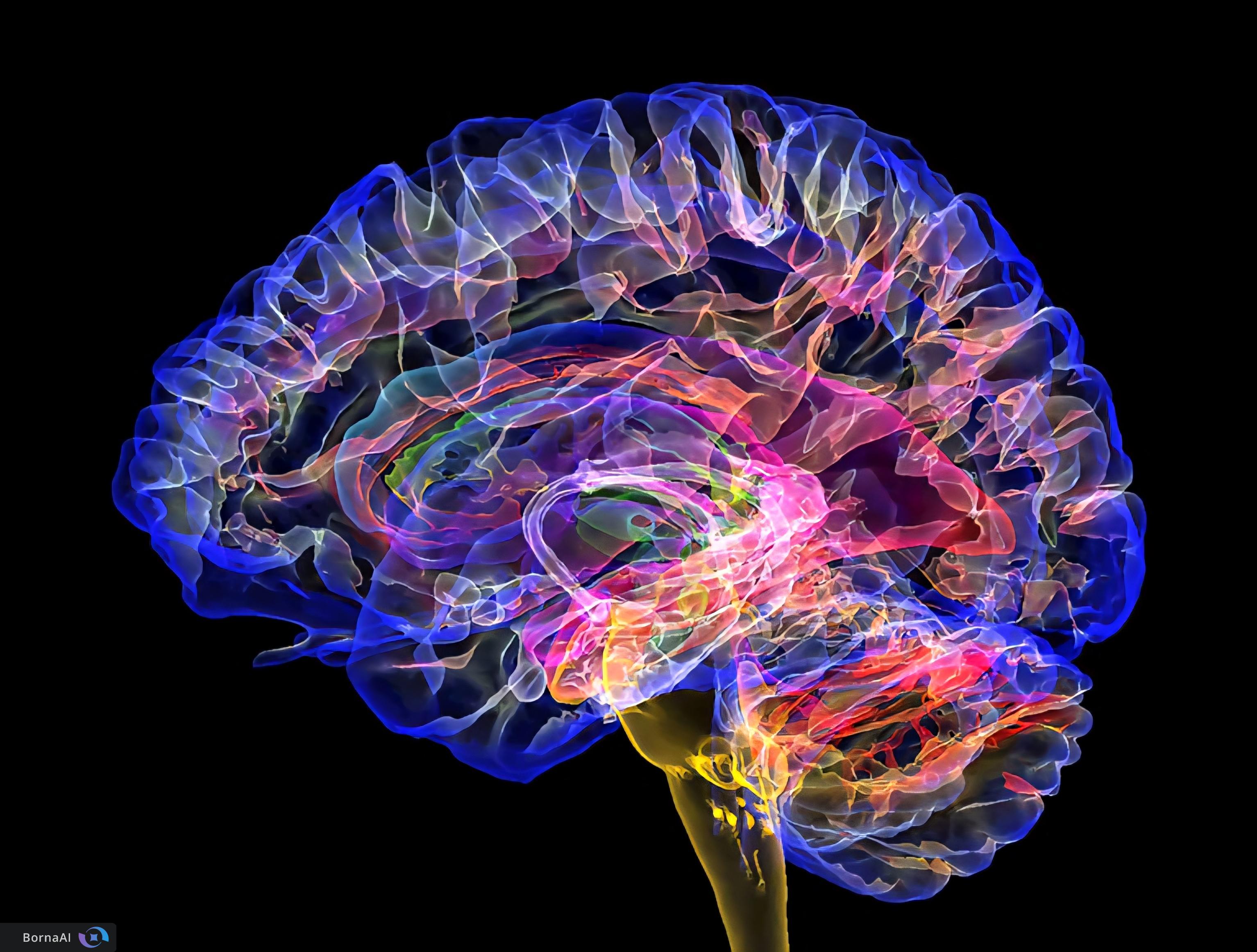 سرعت پیری شما چقدر است؟