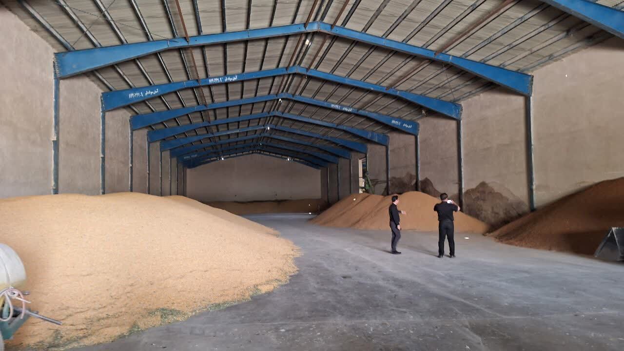 چهارشنبههای صنعتی استاندار قزوین این بار در واحدهای کشاورزی چهارشنبههای صنعتی استاندار قزوین این بار در واحدهای کشاورزی