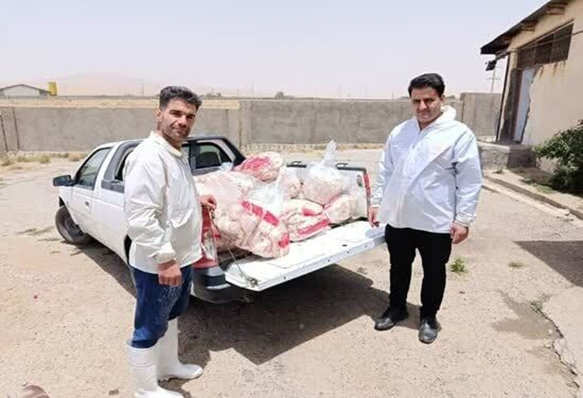 امحا بیش از ۴۰۰ کیلوگرم گوشت مرغ در دامپزشکی الیگودرز