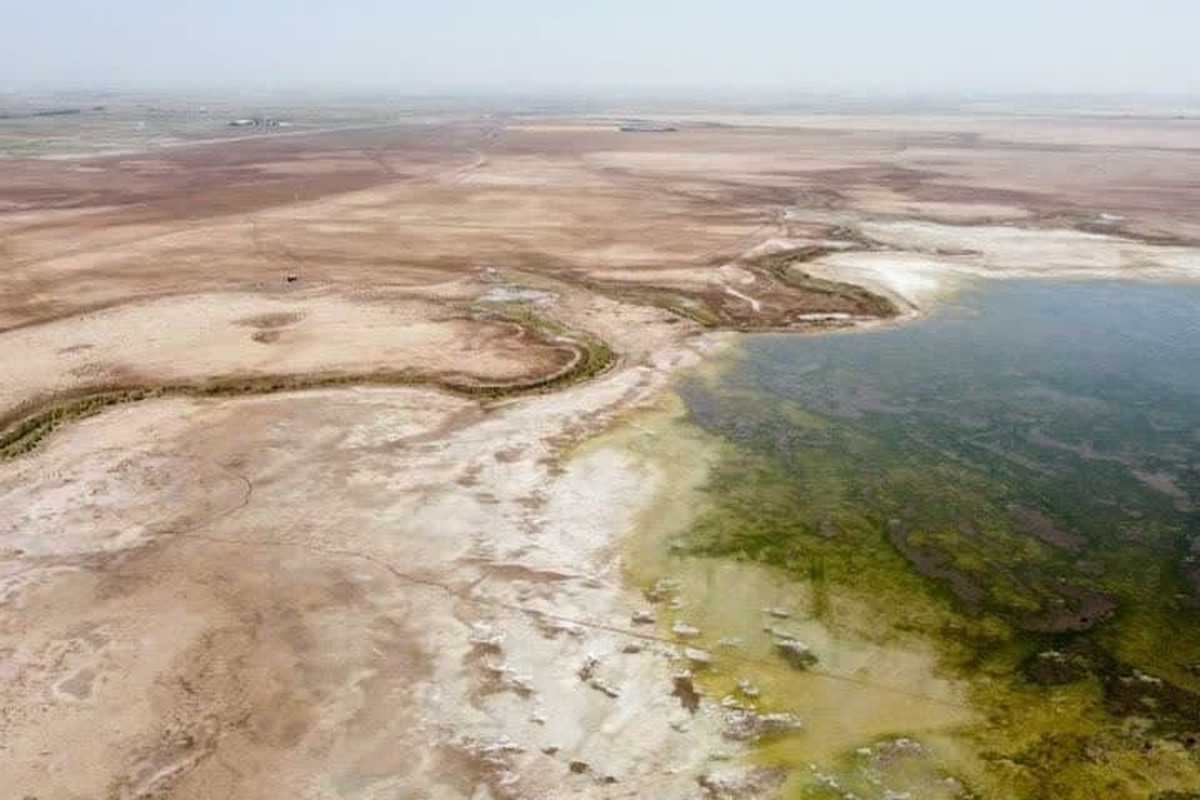 لزوم تهیه طرح جامع احسای تالاب صالحیه