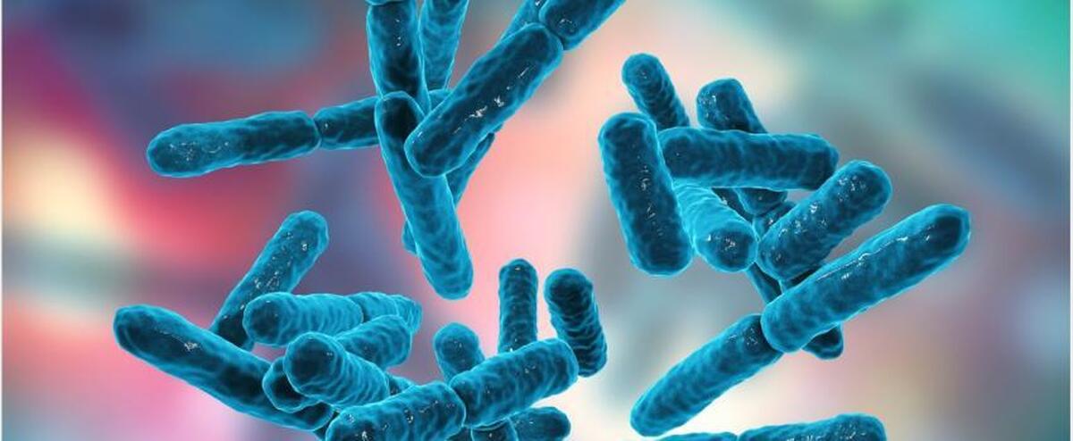 مصرف بی‌رویه آنتی بیوتیک‌ها در جامعه/ پروبیوتیک‌ها نقش بسیار مهمی در سلامت‌سازی بدن دارند