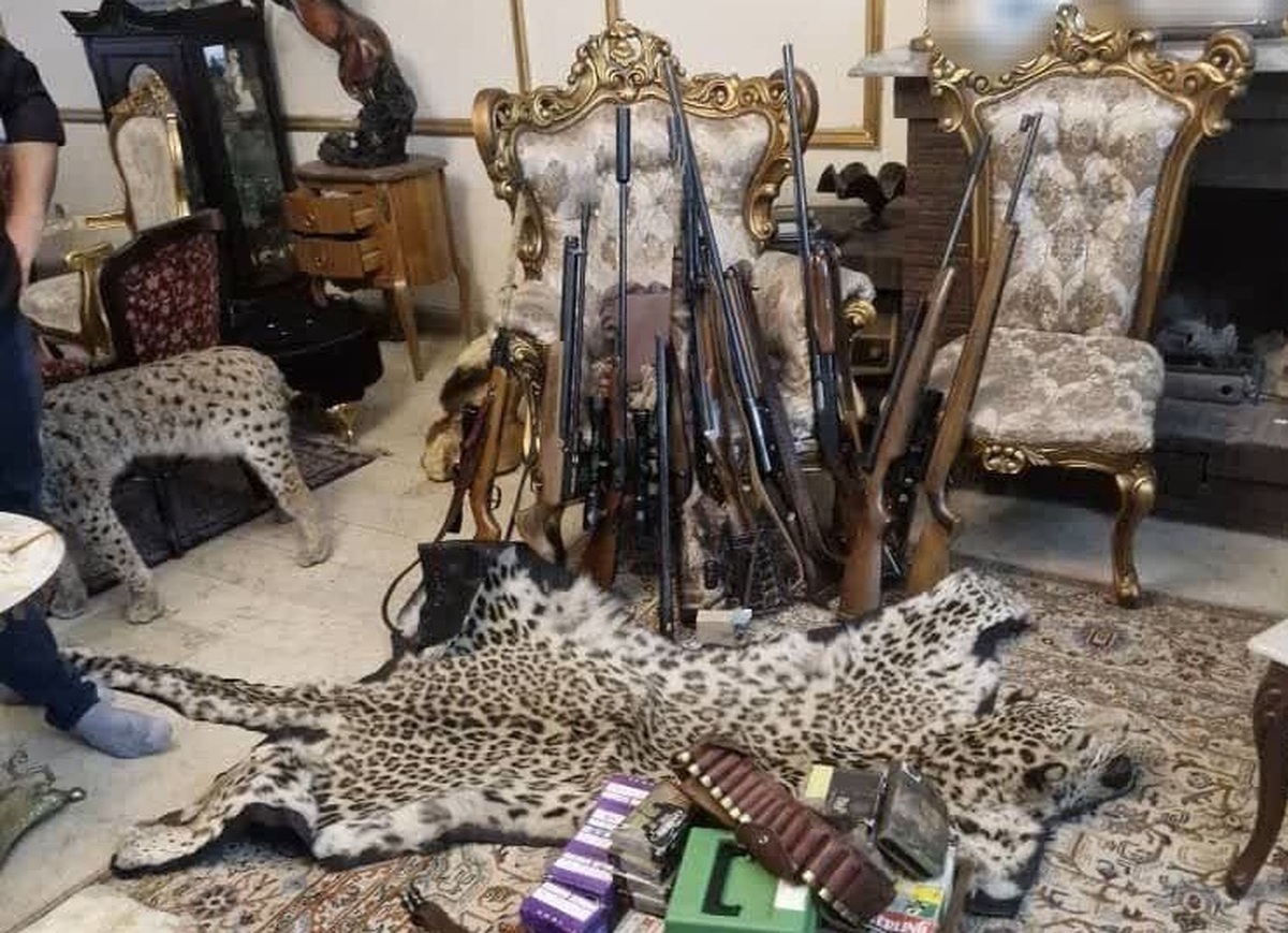 کشف محموله بزرگ حیوانات تاکسیدرمی و سلاح در تهران