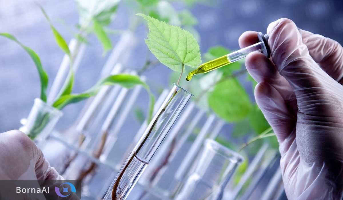 نجات میوه‌های ایرانی با تله نانویی!