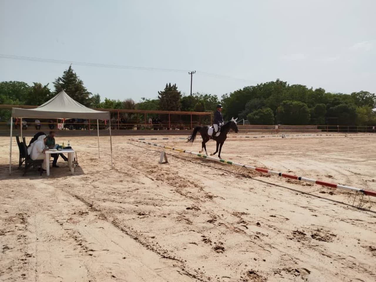 برترین های رقابتهای درساژ در قزوین مشخص شدند