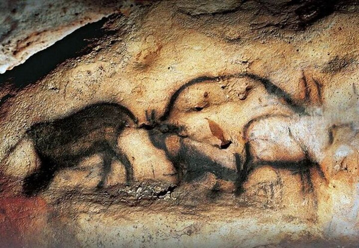 ثبت سند سکونت انسان های هوشمند در ۶۵ هزار سال پیش