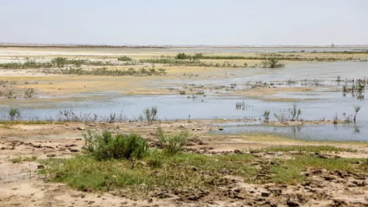 تالاب صالحیه تحت تاثیر سیاستگذاری‌های دو دهه اخیر به کانون گردوغبار تبدیل شد