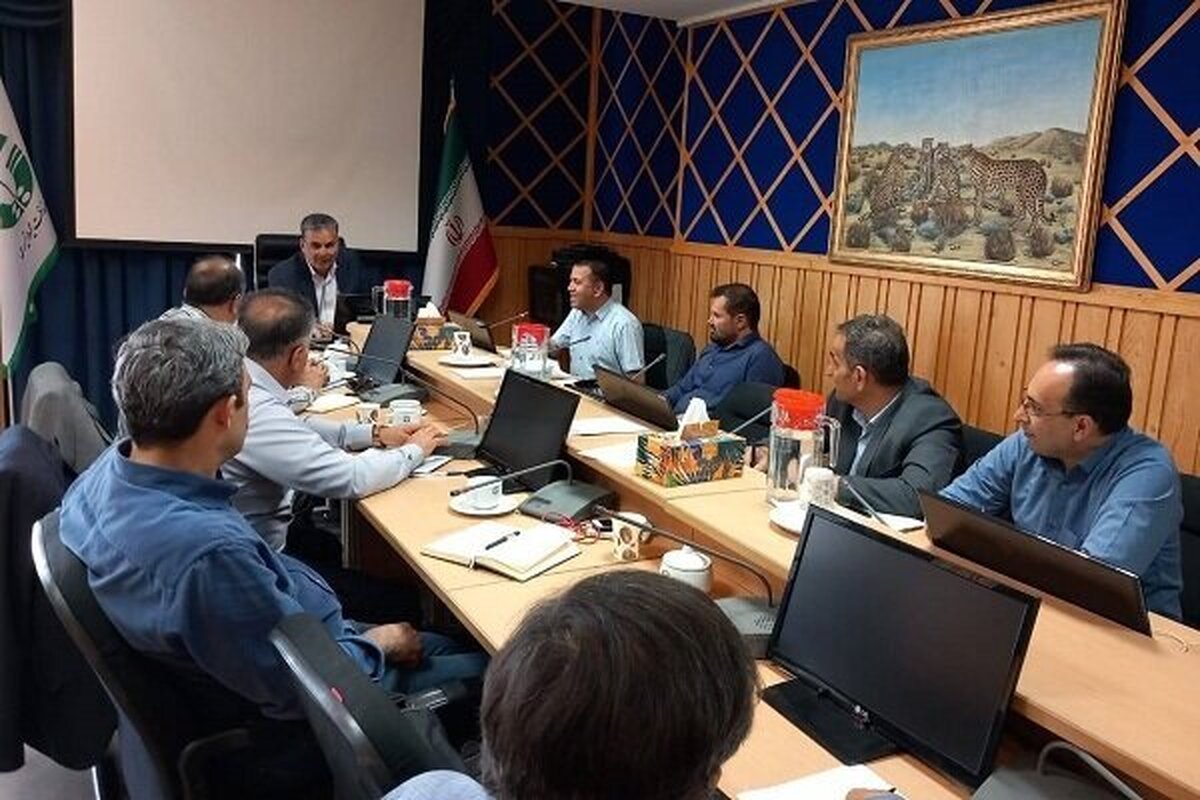 سرشماری جمعیت میش‌مرغ در چهار استان آغاز شد ؛ زیستگاه‌های تاریخی آذربایجان غربی در دستور کار قرار گرفت