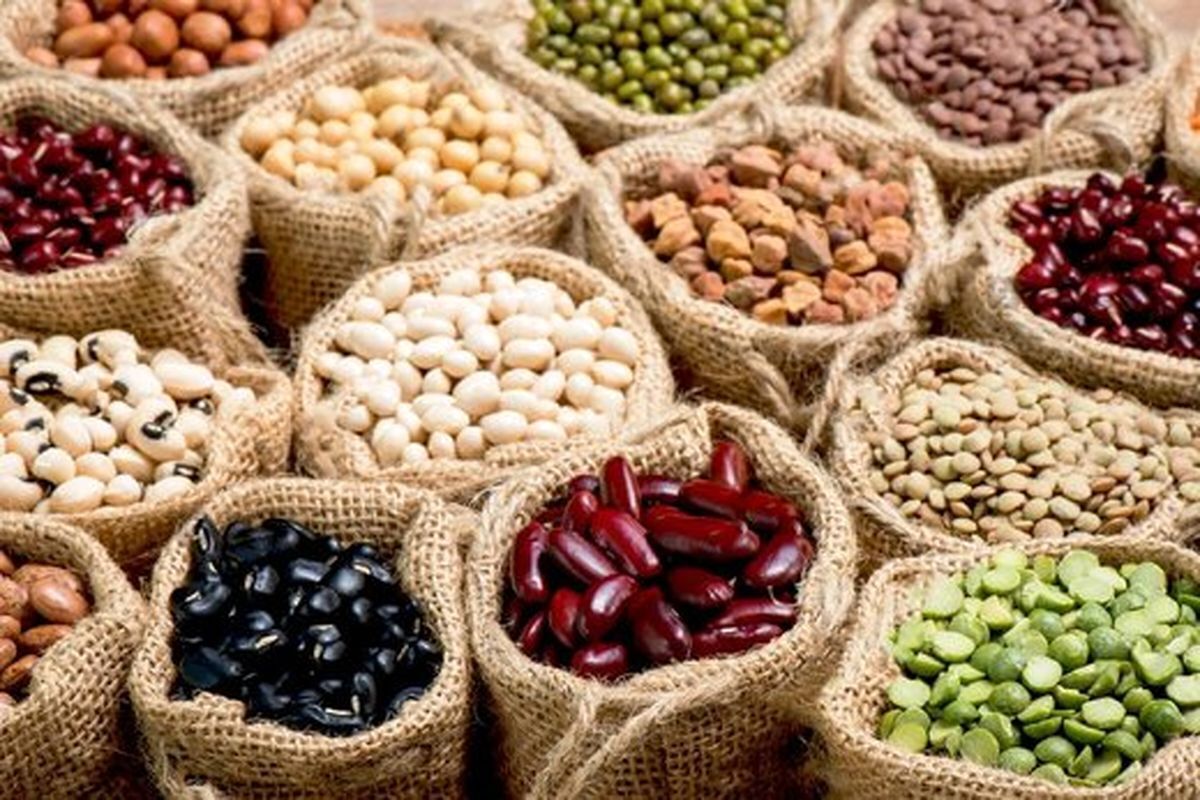 صادرات حبوبات ممنوع شد