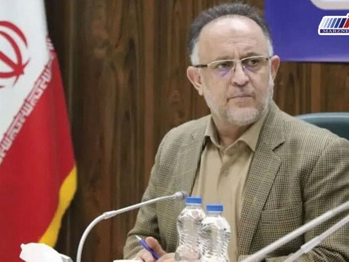 صنعت چوب و کاغذ کشور نیازمند نگاهی واقع‌بینانه و آینده‌نگر است