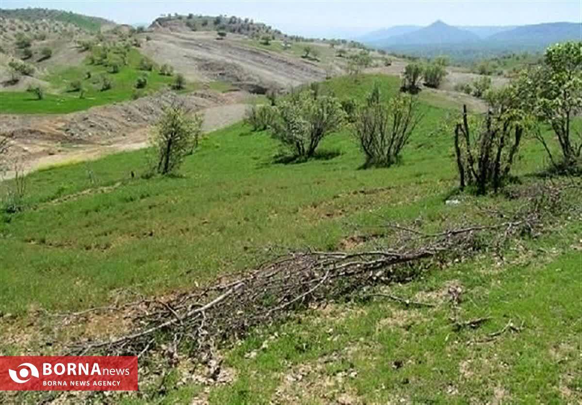 بازپس‌گیری اراضی ملی تصرف شده در شهرستان سنقر