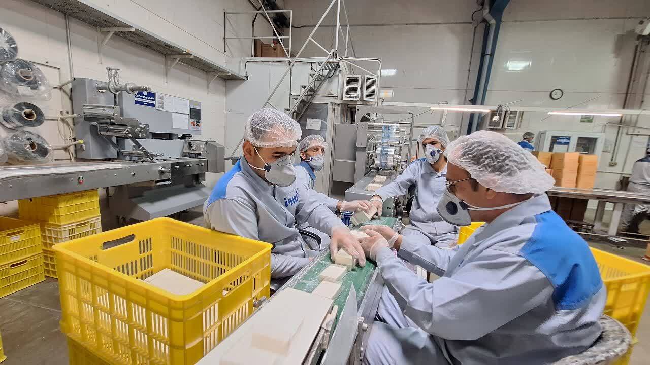 نوذری: شرکت فیروز یک الگوی موفق ایجاد اشتغال ویژه معلولان در استان قزوین است