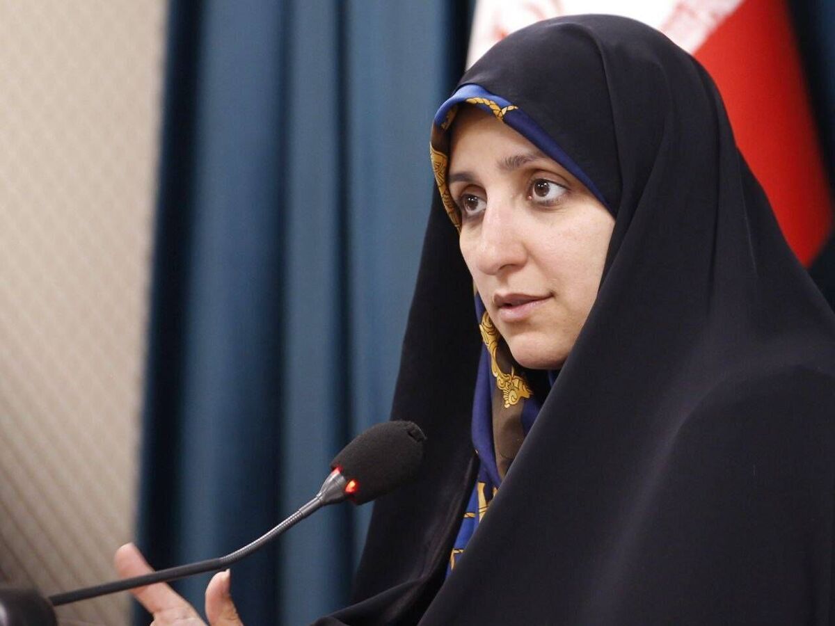 بهروز آذر: ۷۰ درصد مشاغل خانگی کشور در اختیار زنان است