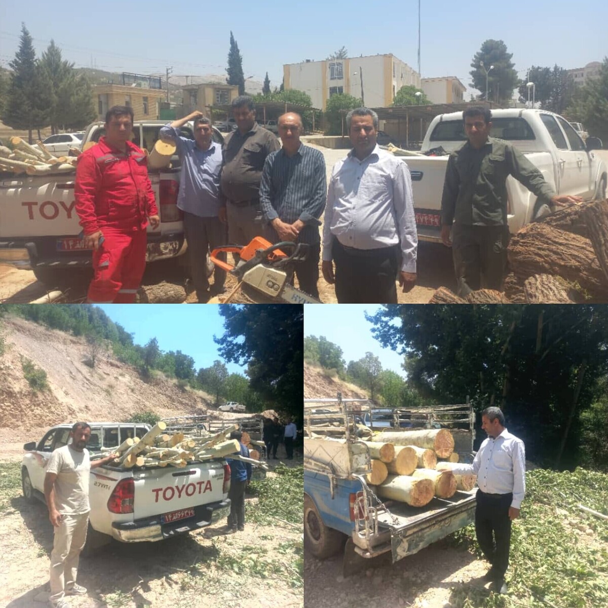 متخلف قطع درختان چنار تنگ سریز دستگیر شد