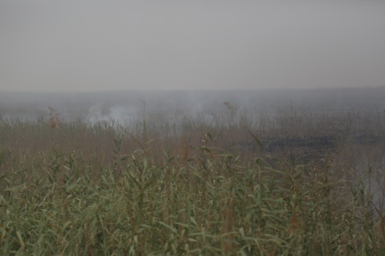 استاندار خوزستان تاکید کرد: لزوم همکاری طرف عراقی برای مهار آتش در تالاب هورالعظیم