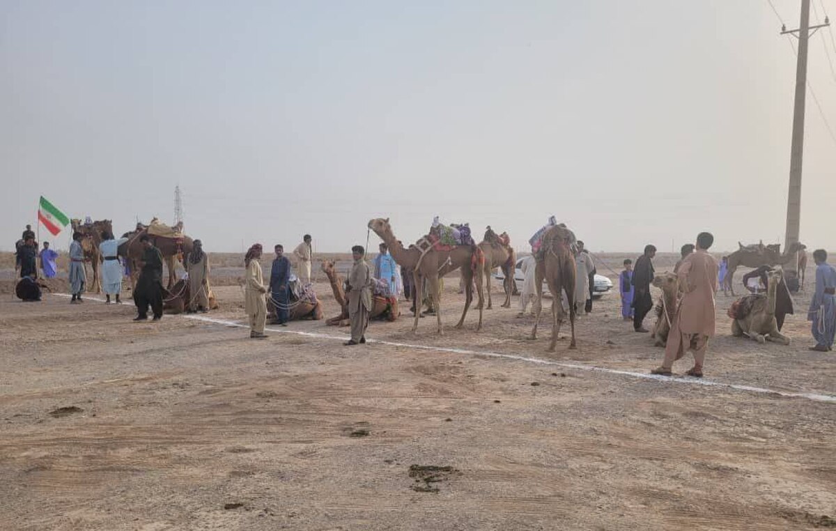 درخشش کرمانی‌ها در مسابقات کشوری شترسواری