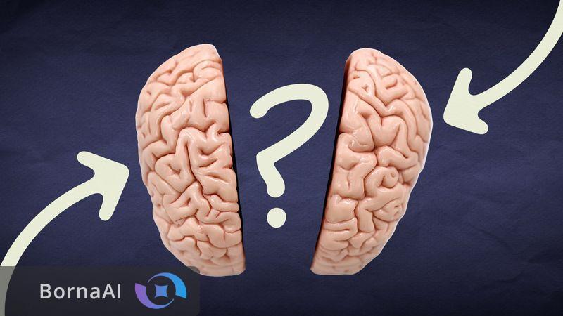 هوش ژنتیکی است یا اکتسابی؟ هوش ژنتیکی است یا اکتسابی؟