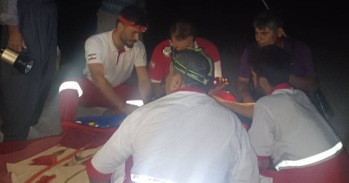 حمله خونین خرس به مرد جوان در ایلام