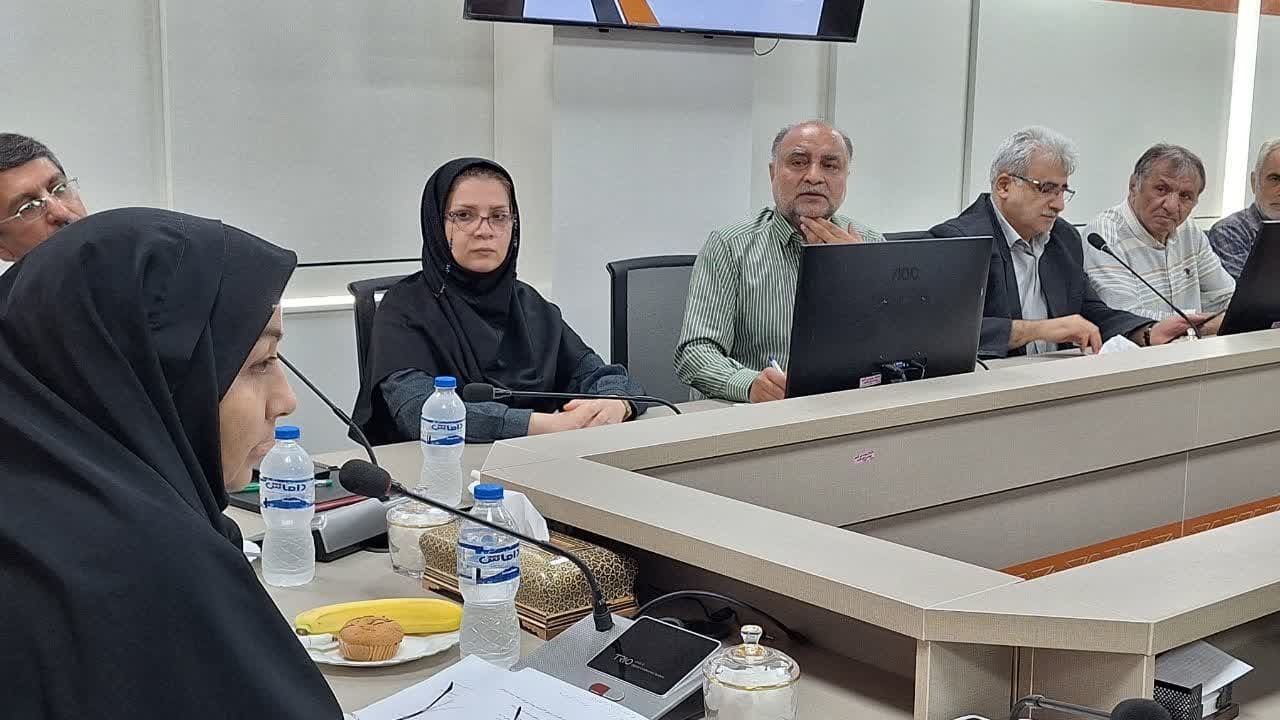 243 معلول تحت پوشش بهزیستی در دستگاههای اجرایی استان قزوین جذب شدند