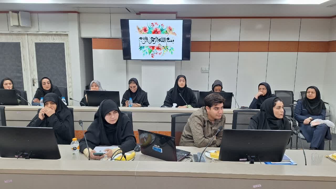 243 معلول تحت پوشش بهزیستی در دستگاههای اجرایی استان قزوین جذب شدند