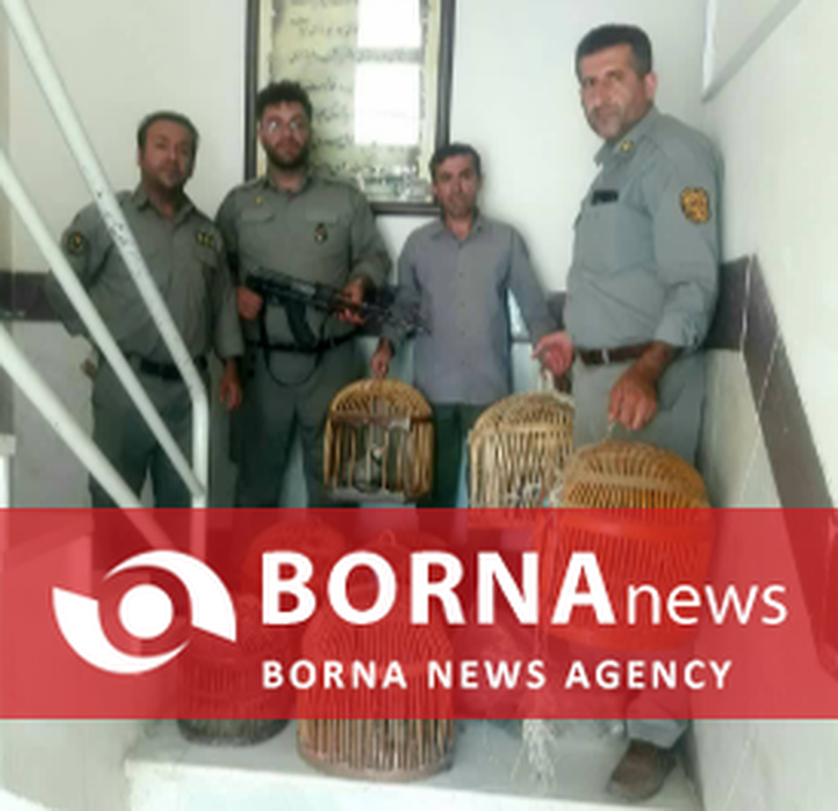 کشف و ضبط ۹ قطعه کبک زنده از شکارچیان متخلف در روانسر